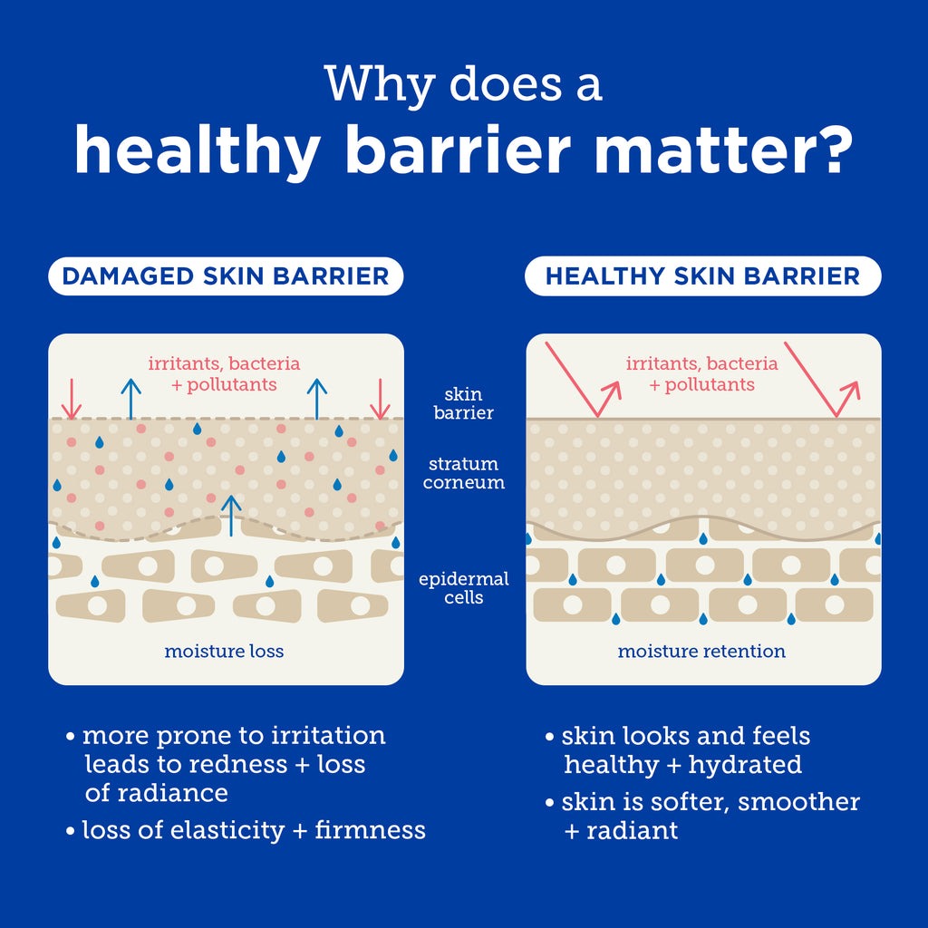 healthy barrier skinfix